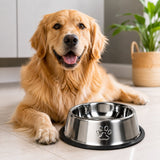 Comedouro Antiderrapante Redondo Para Cachorro e Gato 30cm - Inox